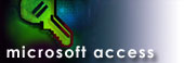 Microsoft Access and  Access Basic Specialists